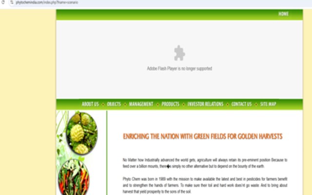 Phyto Chem (India) Limited website